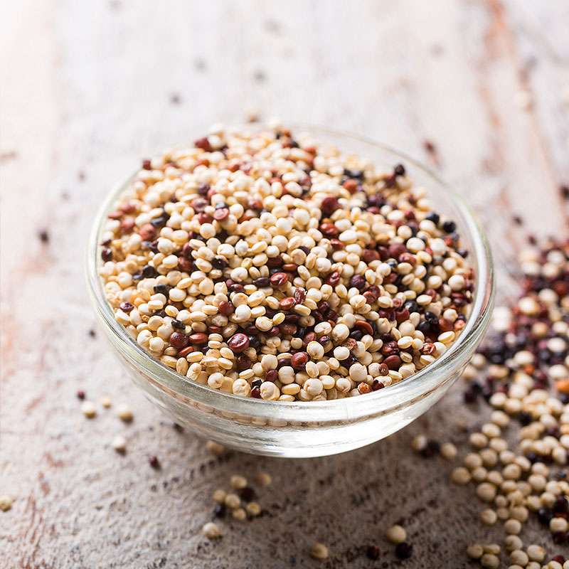 Quinoa Samen