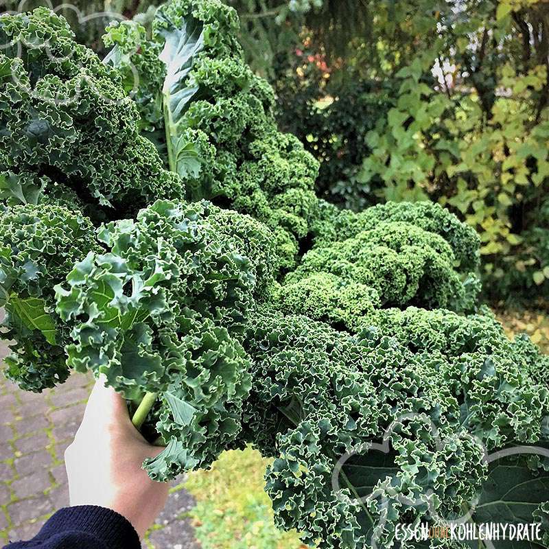 Kale Chips