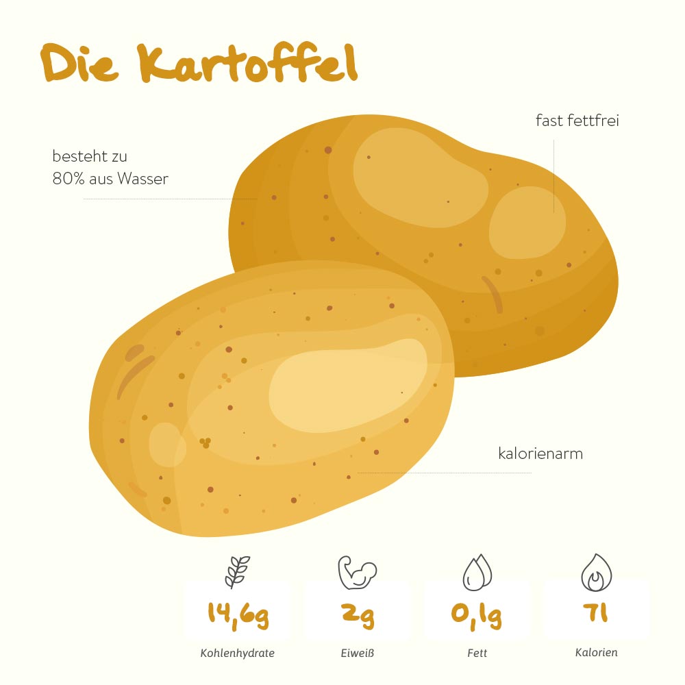 Die Kartoffel – die tolle Knolle