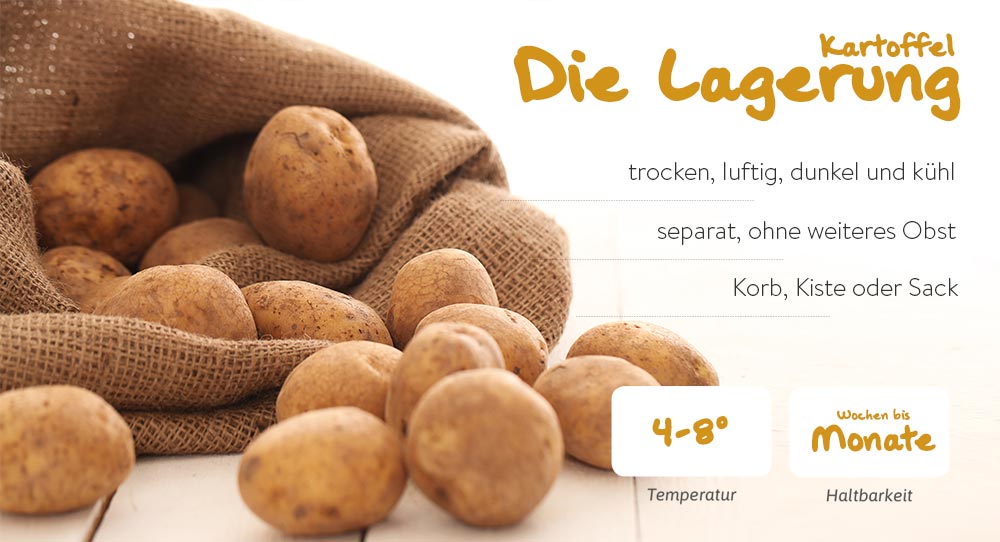 Tipps zum Einkauf und der richtigen Lagerung von Kartoffeln