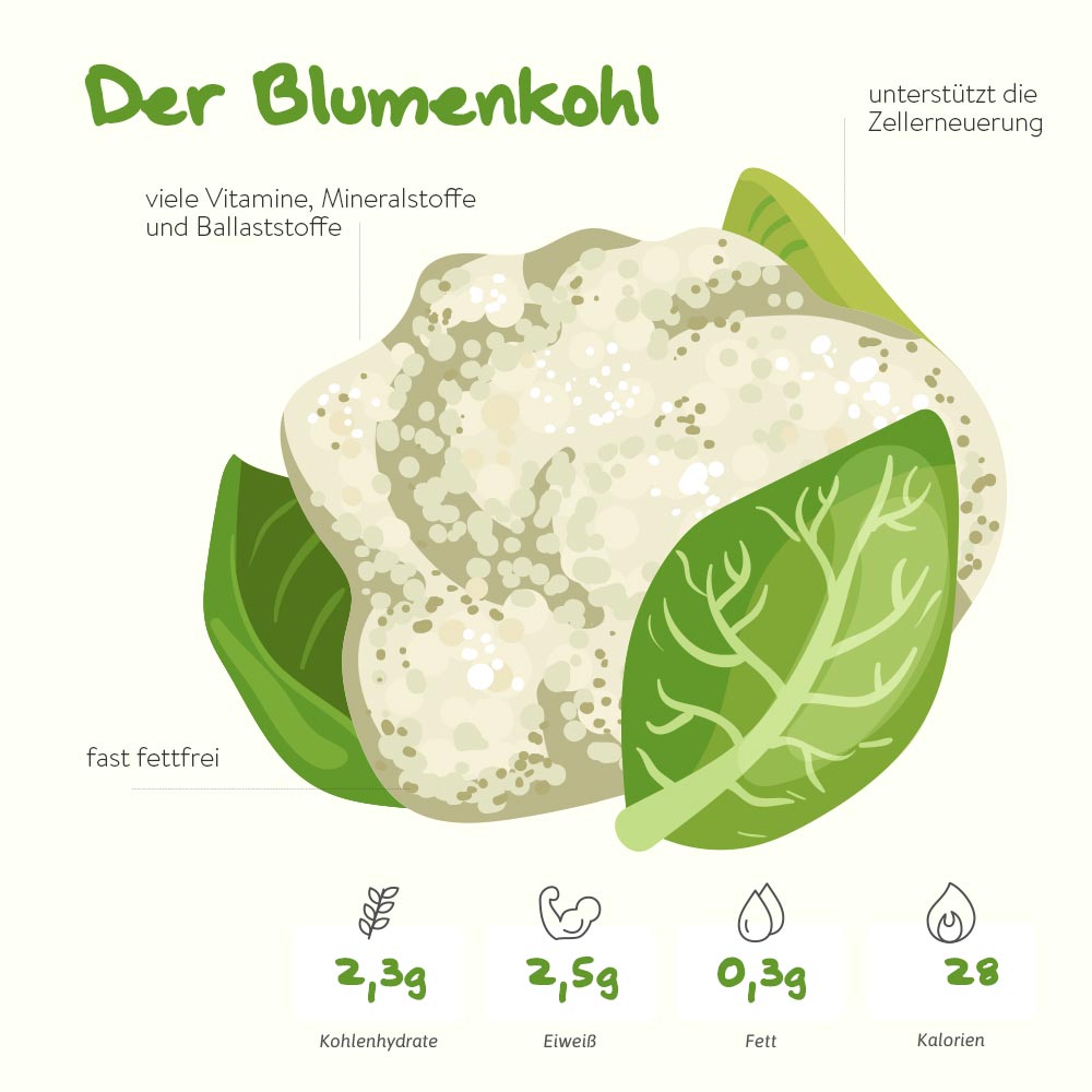 Der Blumenkohl – das vielseitige Gemüse 