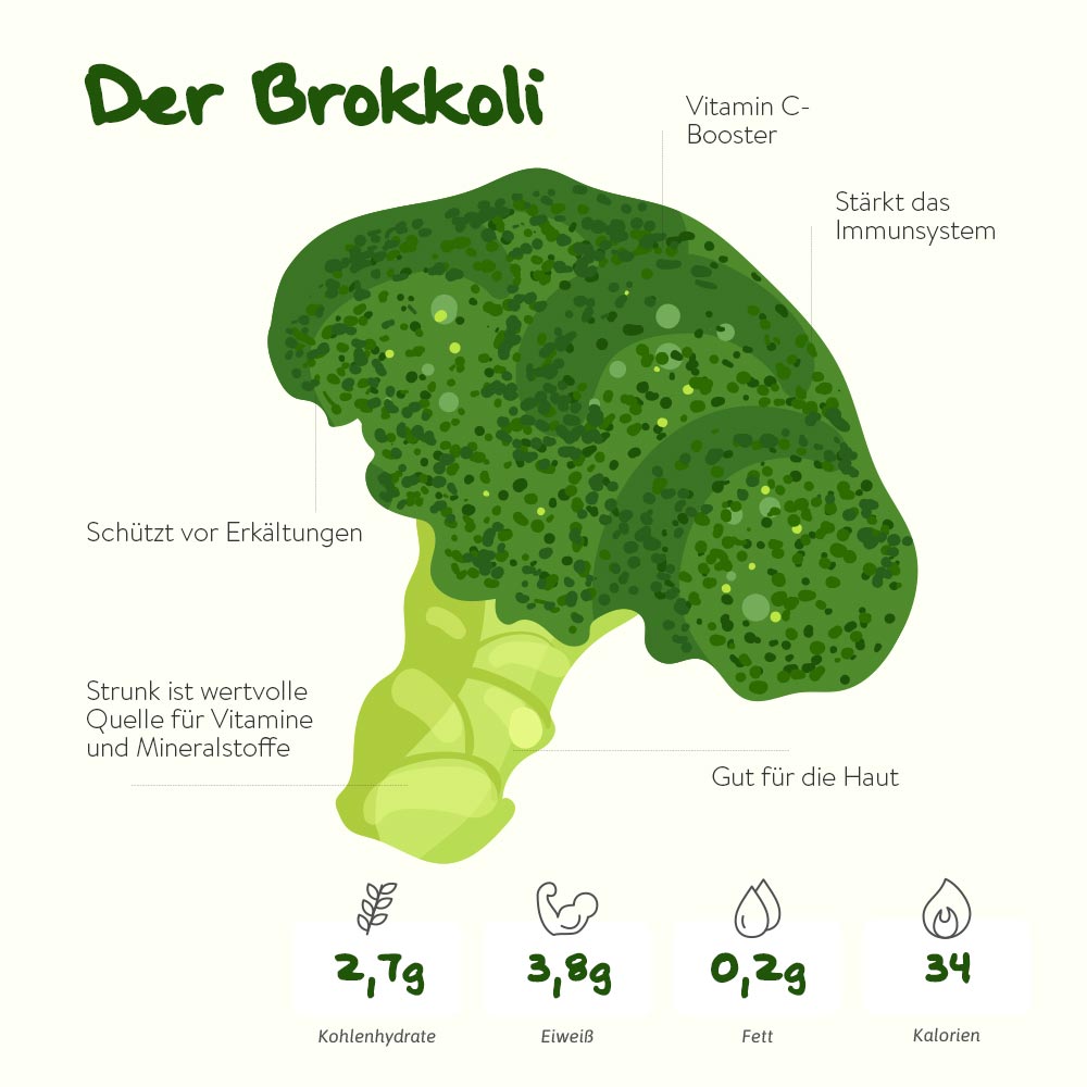 Der Brokkoli – der Energielieferant