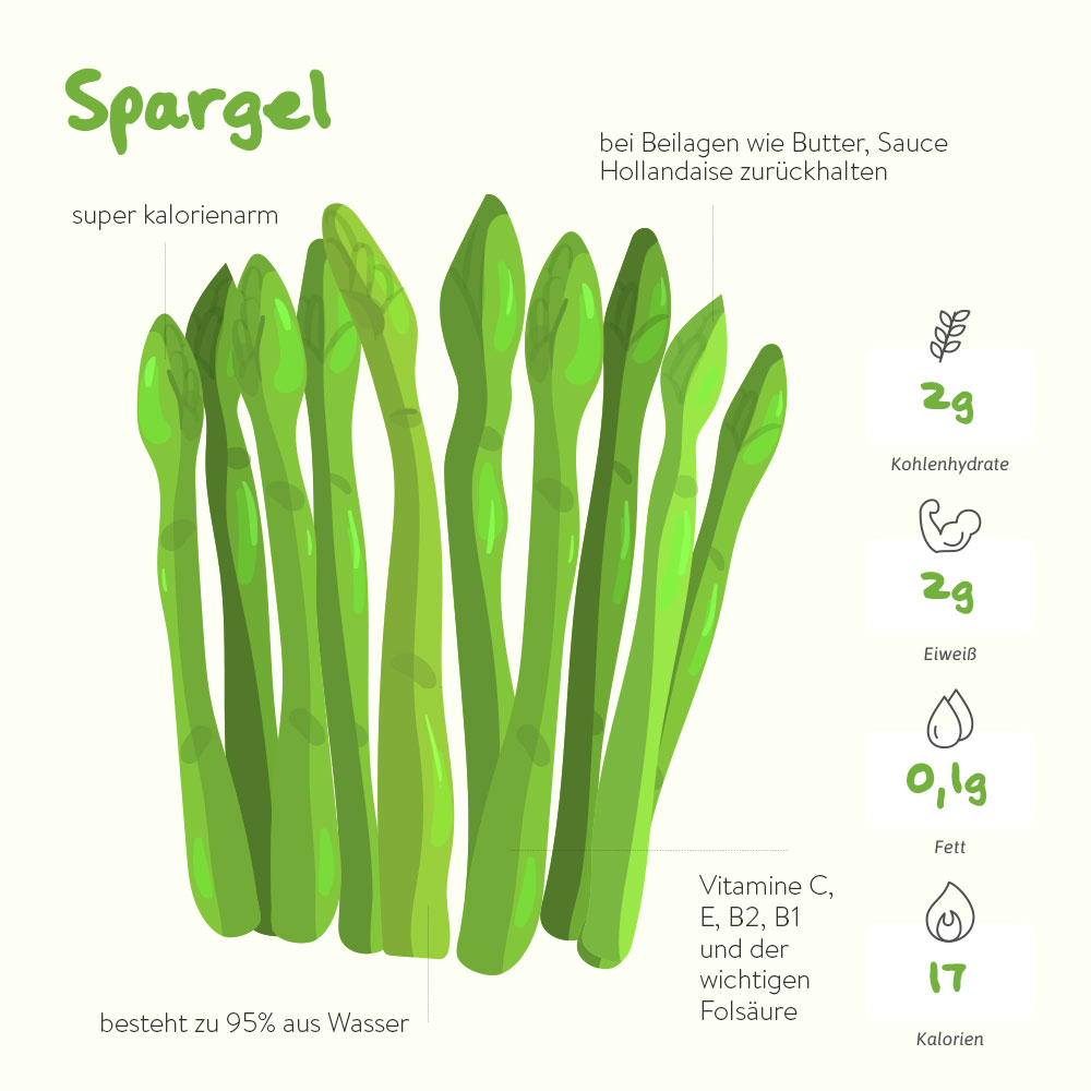 Der Spargel – das königliche Gemüse