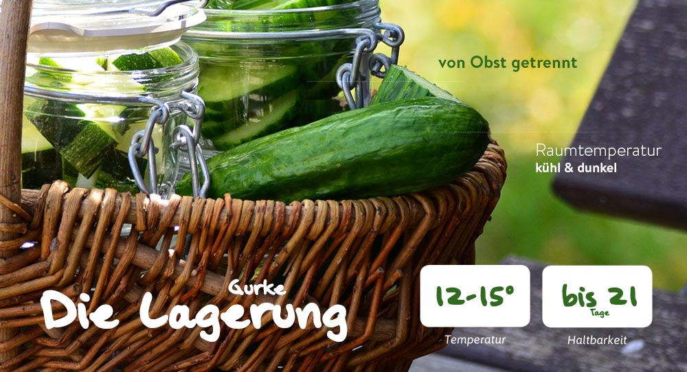 Die richtige Lagerung von Gurken (Food photo created by Racool_studio – www.freepik.com)